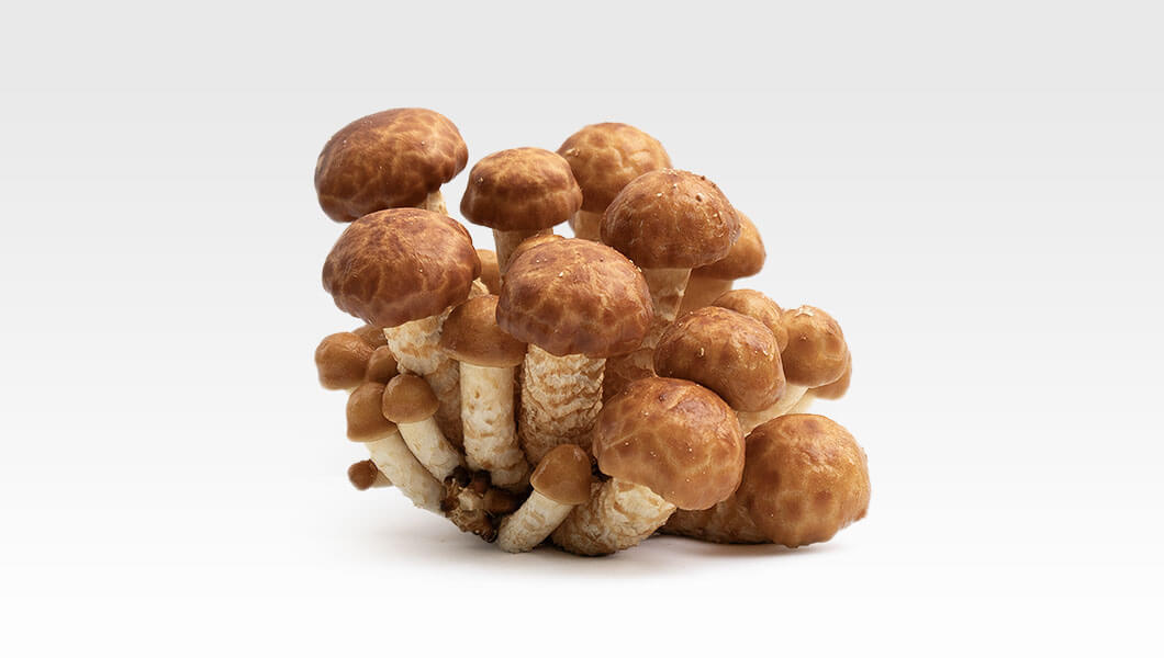 luskwiak-nameko