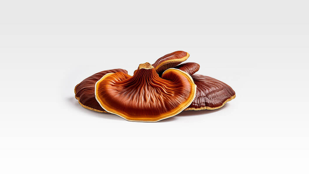 ganoderma-reishi