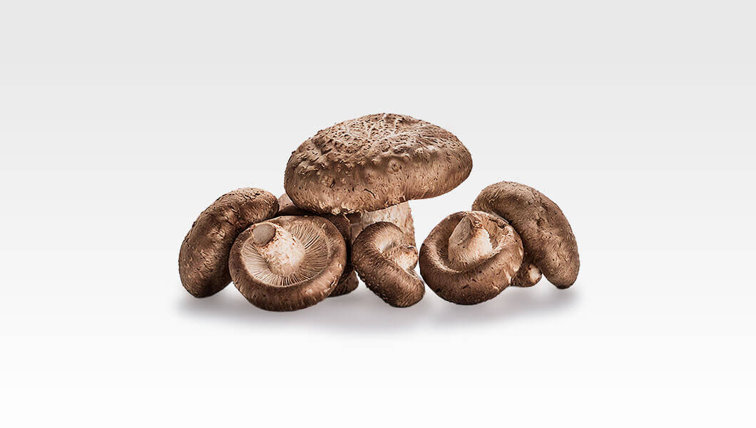 shiitake