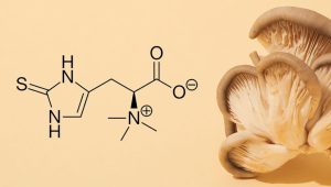 Ergotioneina w grzybach